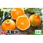 不知火 しらぬい 2.5kg+250g