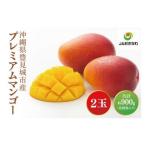 豊見城産プレミアムマンゴー約900g