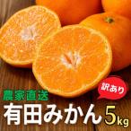 農家直送 有田 みかん 訳あり 5kg