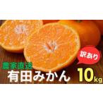 ふるさと納税 農家直送 有田 みかん 訳あり 10kg 光センサー 選別 / 温州みかん 有田みかん 甘い 家庭用 和歌山 柑橘 ※11月中旬〜1月中旬に順.. 和歌山県広川町