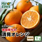 有田 育ちのご 完熟 清見 オレンジ 1kg+200g
