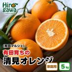 有田 育ちのご 完熟 清見 オレンジ 5kg+200g
