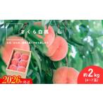 ふるさと納税 No.2995 さ