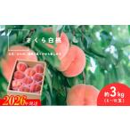 ふるさと納税 No.2996 さ