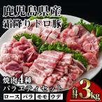 豚肉 霜降り トロ豚 焼肉 バラエティ セット 合計3kg