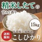 Y309 令和8年産 特別栽培米コシヒカリ15kg