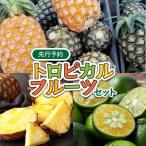トロピカルフルーツ セット パイン シークワーサー