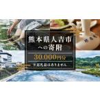 人吉市への寄付（返礼品なし）