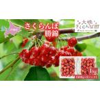 先行受付 さくらんぼ 勝錦1kg 500g×2パック