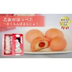 ふるさと納税 乙女のほっぺた〜さくらんぼまんじゅう〜 農林水産省受賞 芦別産さくらんぼジャム 北海道ミルク餡 饅頭 5個セット 果物類 フルーツ.. 北海道芦別市
