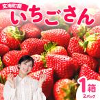 産いちご いちごさん