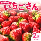 いちご いちごさんDX
