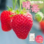 晴苺 9~18粒 約450g
