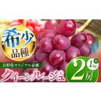 ふるさと納税 【2026年先行予約】 クイーンルージュR 2房 【9月下旬以降発送予定】  長野県塩尻市