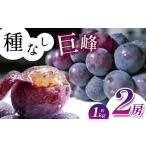 ふるさと納税 【先行予約】《寄附金額改定しました!》長野県産 種なし 巨峰 2房 ( 約 1kg )【9月中旬頃〜発送予定】 | 果物 くだもの フルー.. 長野県塩尻市