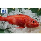 網走産 を代表とする高級魚きんき キチジ