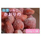 ふるさと納税 苺 いちご 長門産 冷凍いちご 1kg 500g×2袋「かおりの」フルーツ (1019) 山口県長門市