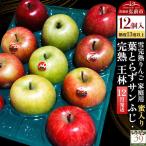 りんご 葉とらずサンふじ 完熟 王林 12個