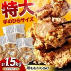 唐揚げ 特大 1.5kg