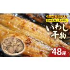 訳あり いわし 干物 48尾