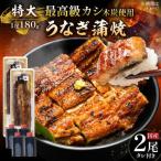 うなぎ 蒲焼 特大2尾