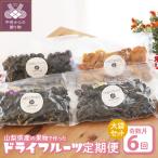 ドライフルーツ大袋セット