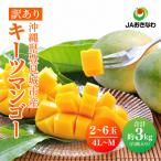 豊見城産キーツマンゴー約3kg 白箱 訳ありご