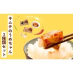 キムチ5種類セット キムチのうめちゃん
