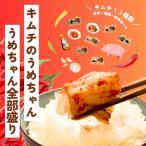 キムチ うめちゃん全部盛り 手作り 33-008