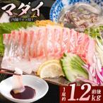 マダイ 半身皮はぎ 半身皮付き アラ 1尾分