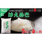 はえぬき5kg 計30kg