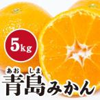 みかん 濃厚な甘さが特徴 青島みかん 広島