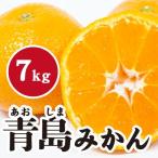 みかん 濃厚な甘さが特徴 青島みかん 広島