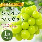 シャインマスカット 500g以上