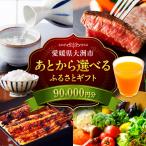 ふるさと 9万円分