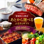 ふるさと 40万円分