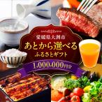 ふるさと 100万円分