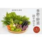 6回お届け 季節の旬野菜詰合せ