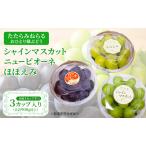 ぶどう たたらみねらる アンサンブルカップ