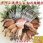 干物 丸干し 開き おまかせセット 2kg