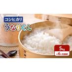 コシヒカリ 令和7年産 精米