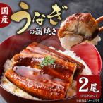 うなぎの蒲焼き 2尾
