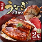 うなぎの蒲焼き 大サイズ×2尾