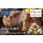 ハンバーグ おおいた和牛100% 約70g×17個