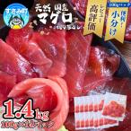 まぐろ 紀南天然生マグロ 切り落とし マグロ