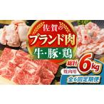 佐賀のお肉焼肉セット 牛肉 豚肉 鶏肉 HCW019