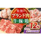 佐賀のお肉焼肉セット 牛肉 豚肉 鶏肉 HCW020