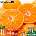 田村みかん 9kg秀品 _V7472