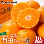 ブランド有田みかん 秀品10kg