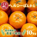 ヘルシーぽんかん10kg 柑橘 ジューシー